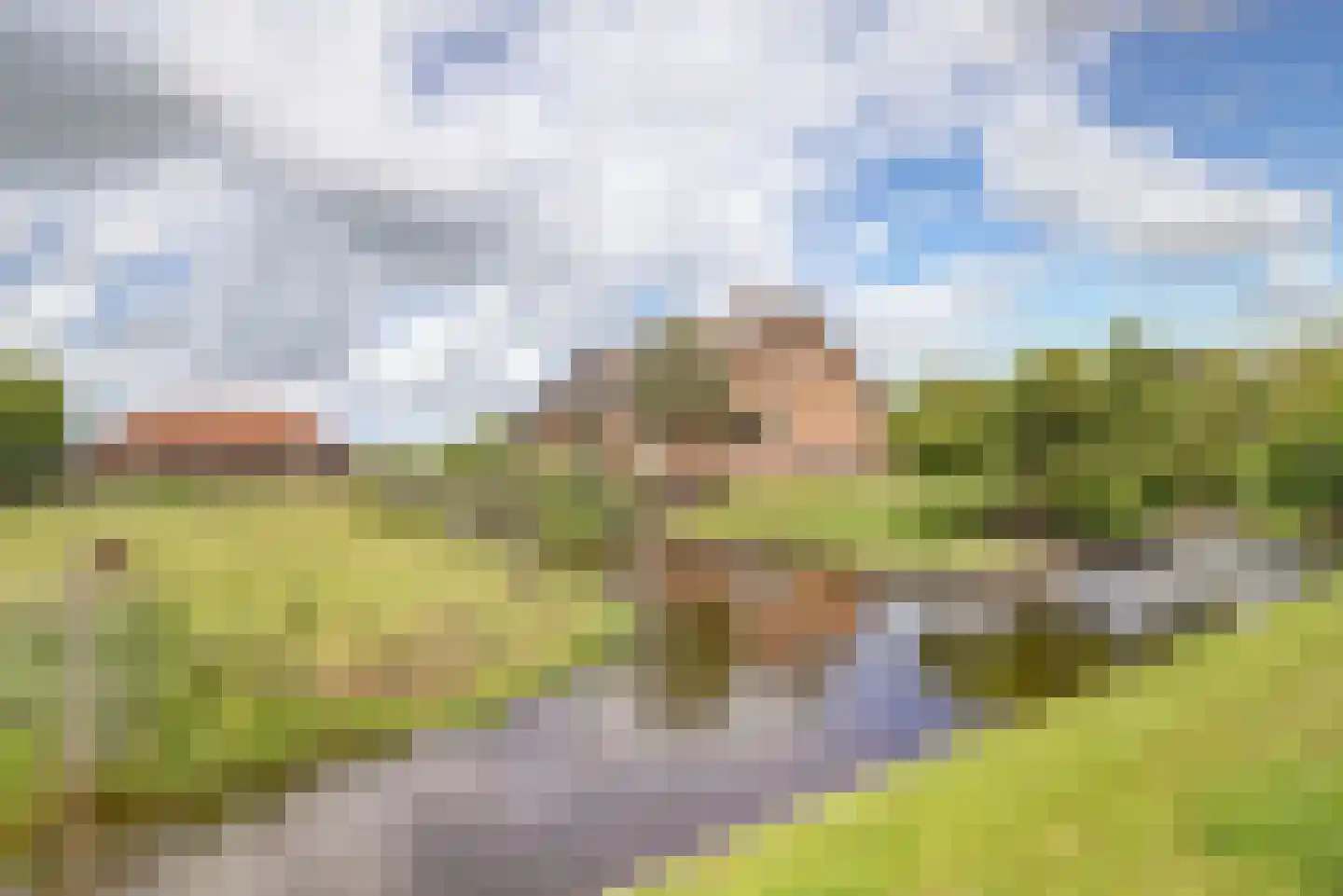 Insteek 24 Boskoop thumbnail 37