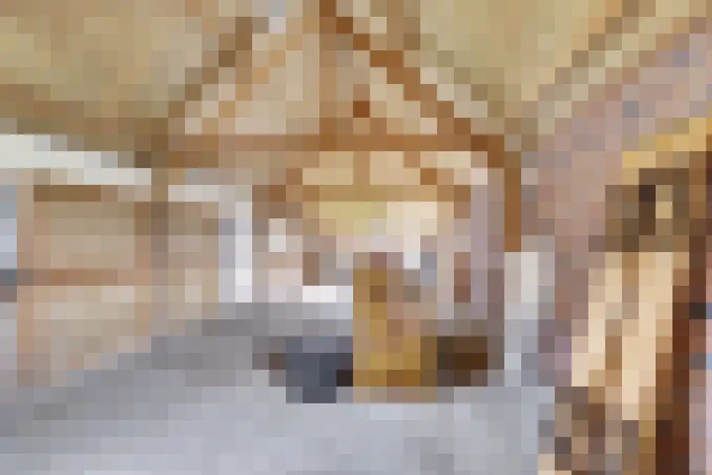 Insteek 24 Boskoop thumbnail 39