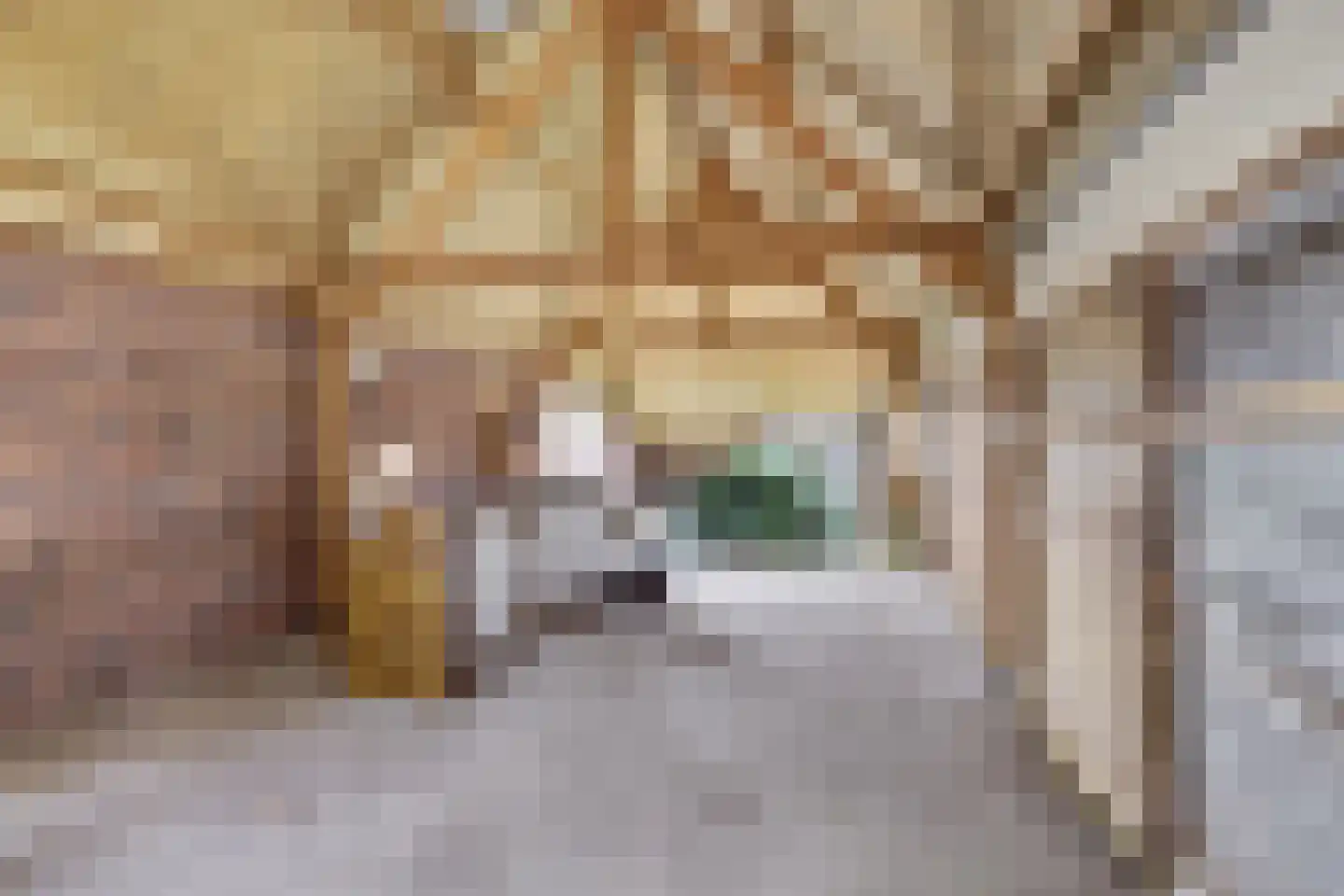 Insteek 24 Boskoop thumbnail 40