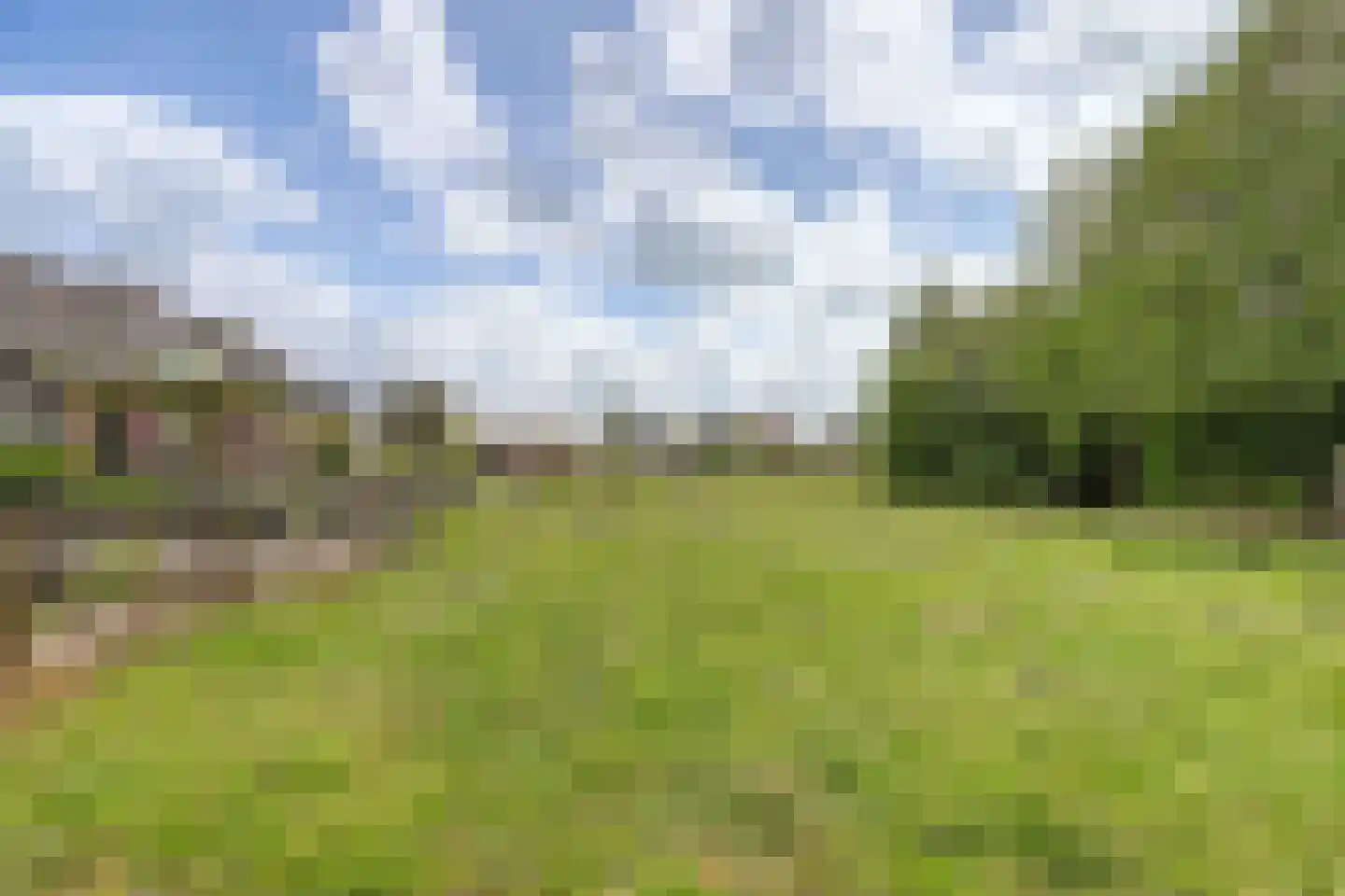 Insteek 24 Boskoop thumbnail 41