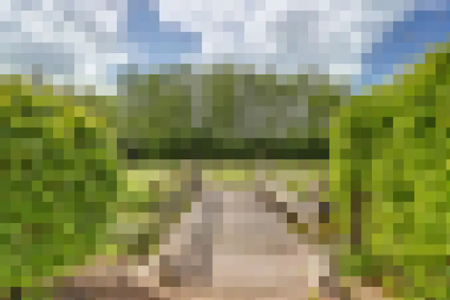 Insteek 24 Boskoop thumbnail 44