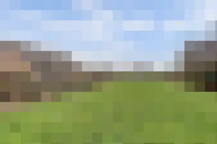 Insteek 24 Boskoop thumbnail 46