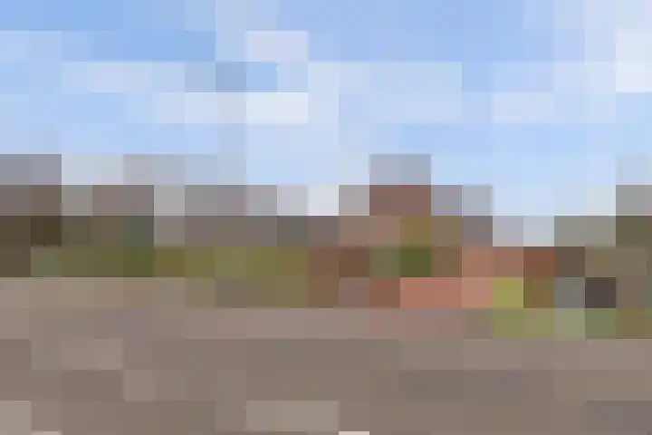 Insteek 24 Boskoop thumbnail 47