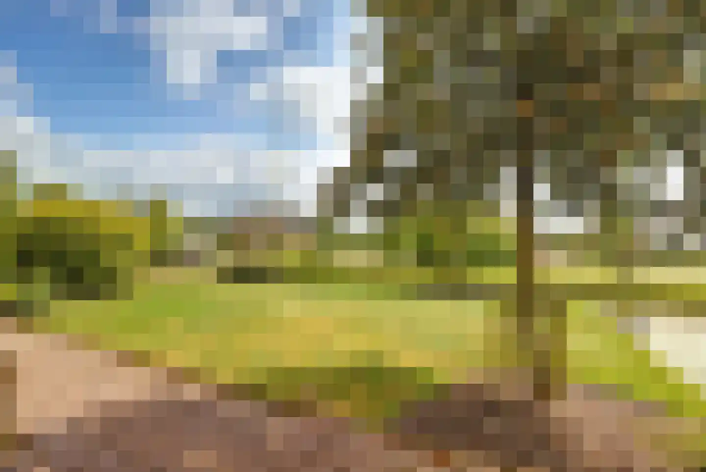 Insteek 24 Boskoop thumbnail 49