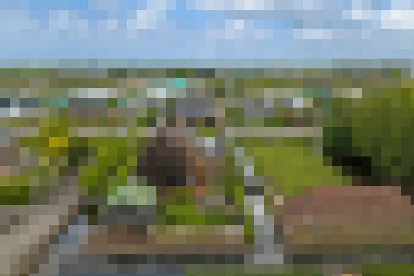 Insteek 24 Boskoop thumbnail 50
