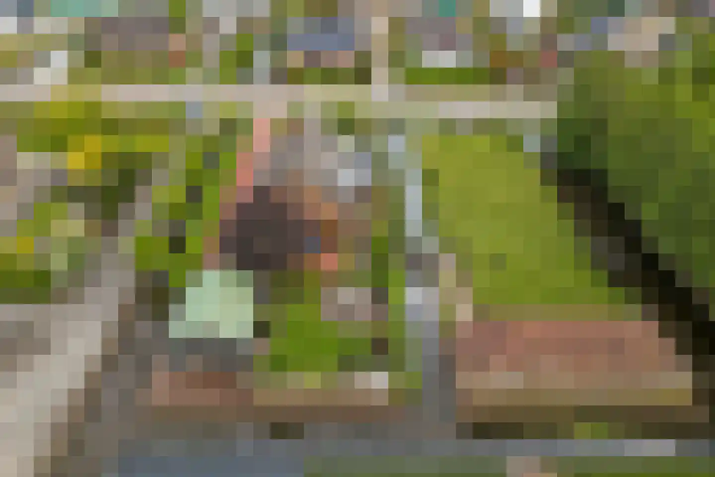 Insteek 24 Boskoop thumbnail 51