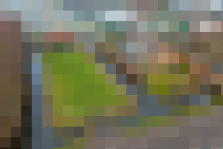 Insteek 24 Boskoop thumbnail 51