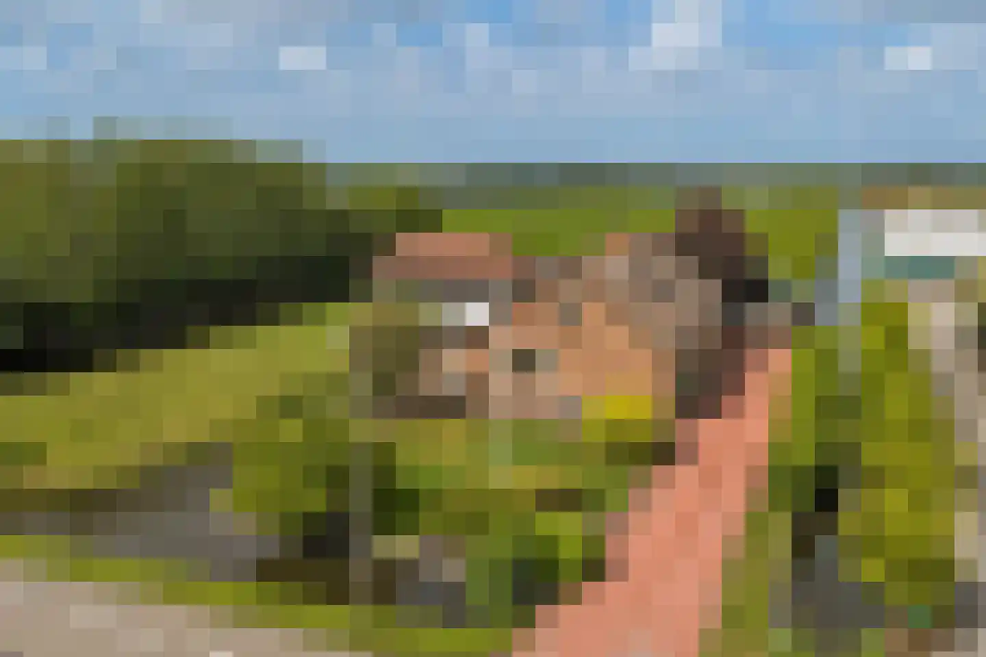 Insteek 24 Boskoop thumbnail 52