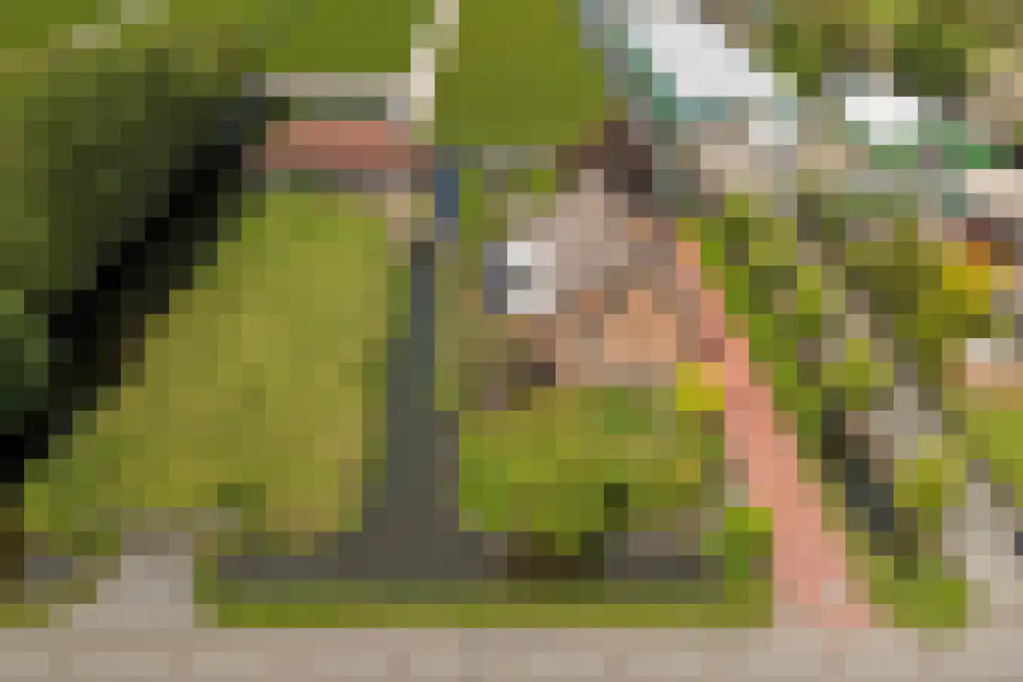 Insteek 24 Boskoop thumbnail 55