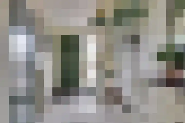Insteek 24 Boskoop thumbnail 6