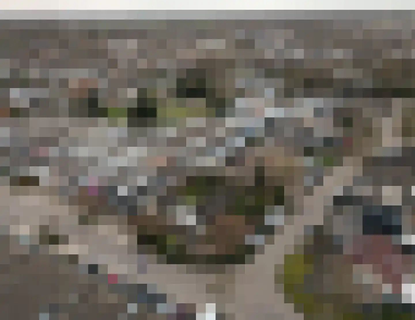 Instraat 18 Budel