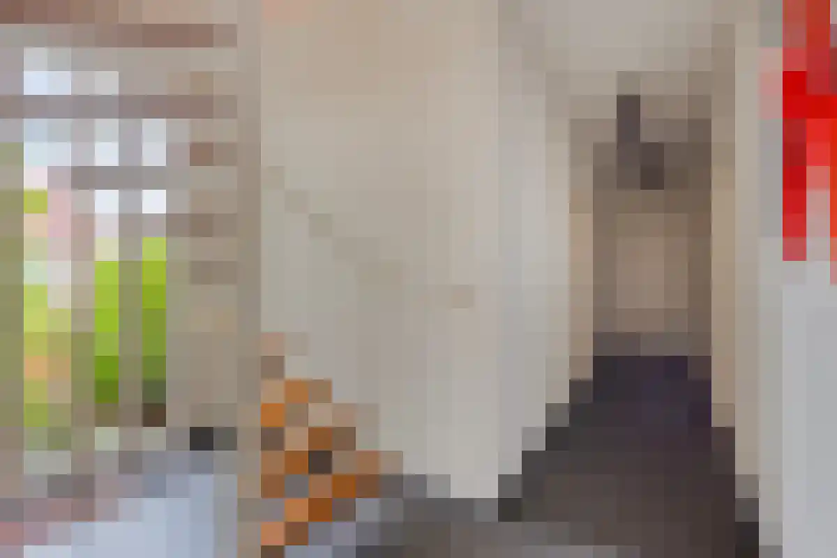 Instraat 18 Budel thumbnail 12