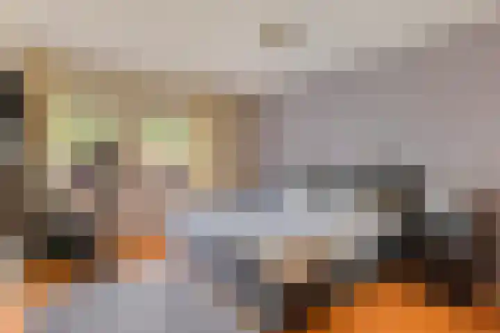 Instraat 18 Budel thumbnail 13