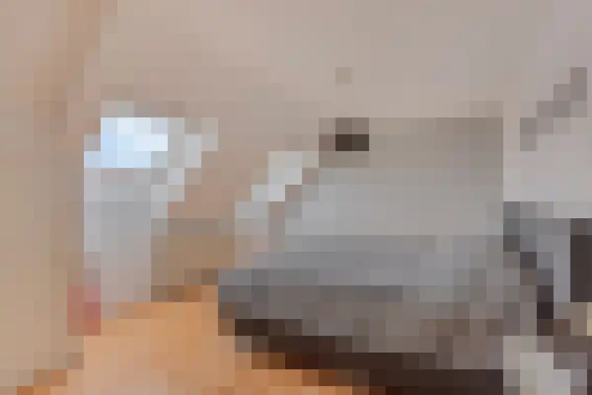 Instraat 18 Budel thumbnail 18