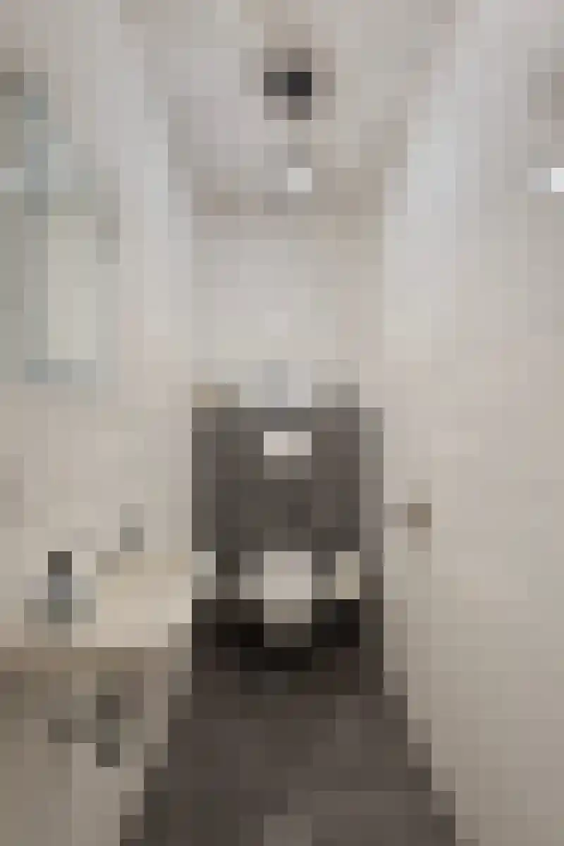 Instraat 18 Budel thumbnail 21