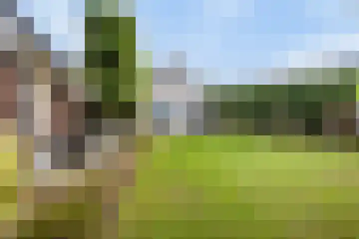 Instraat 18 Budel thumbnail 25
