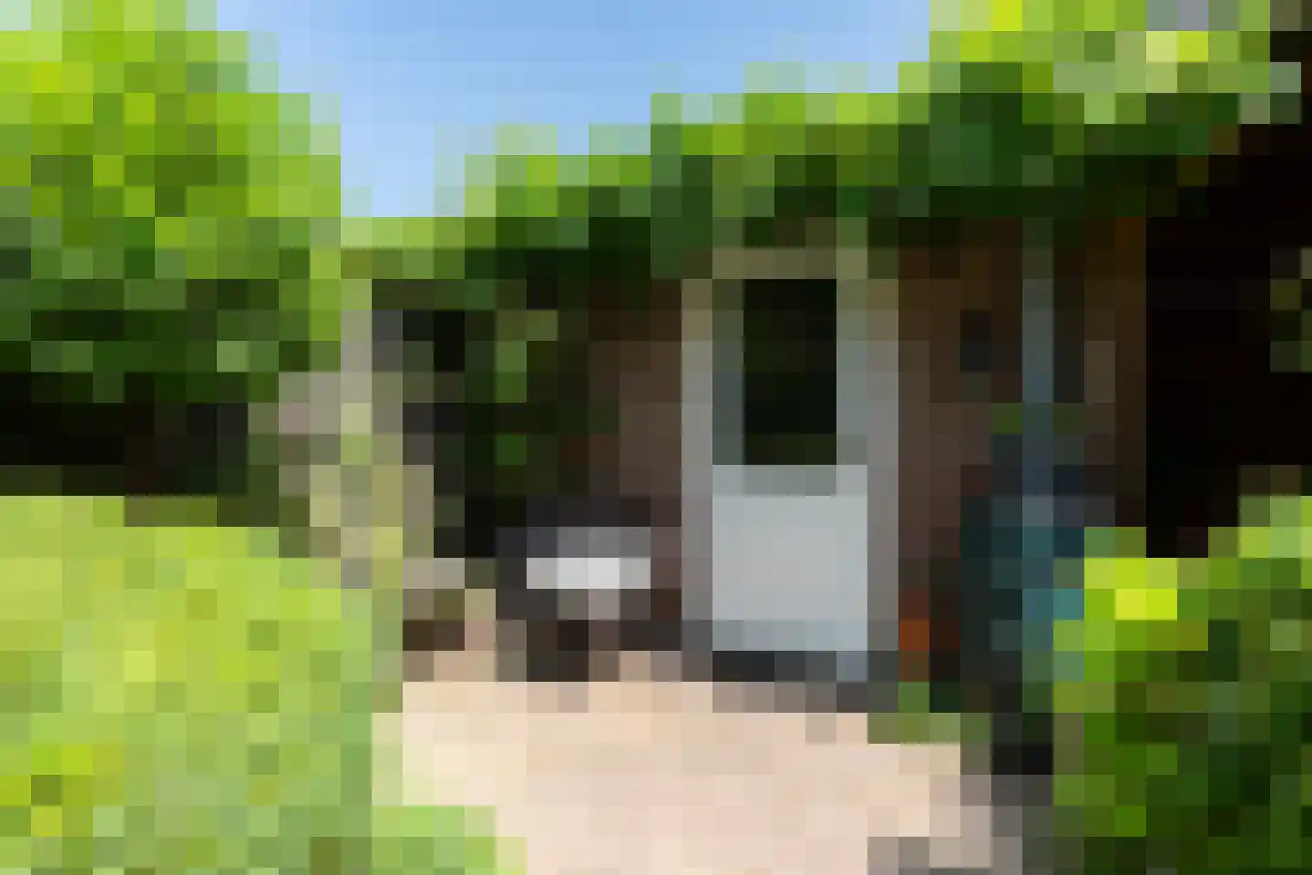 Insula 11 Heerlen thumbnail 17