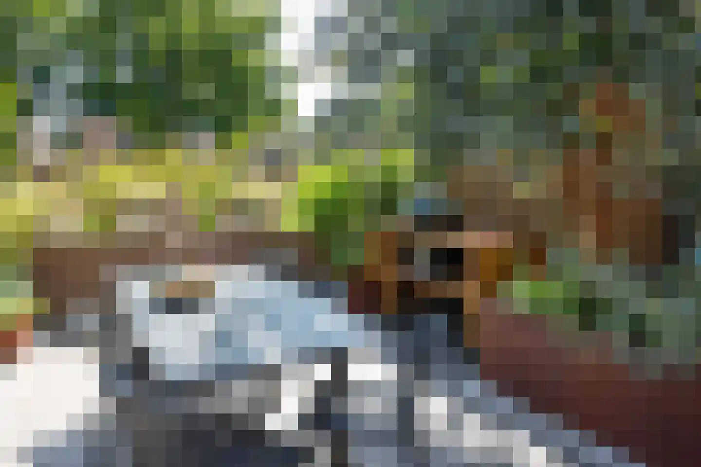 Insula 13 Poortugaal thumbnail 31
