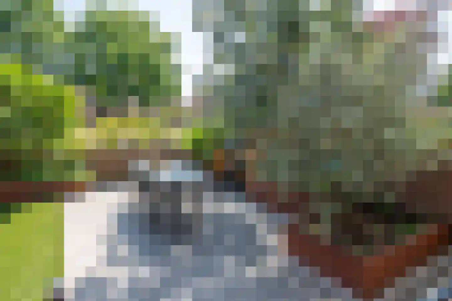 Insula 13 Poortugaal thumbnail 4