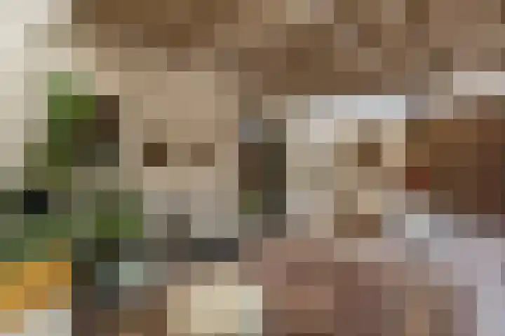 Insula 30 Heerlen thumbnail 27