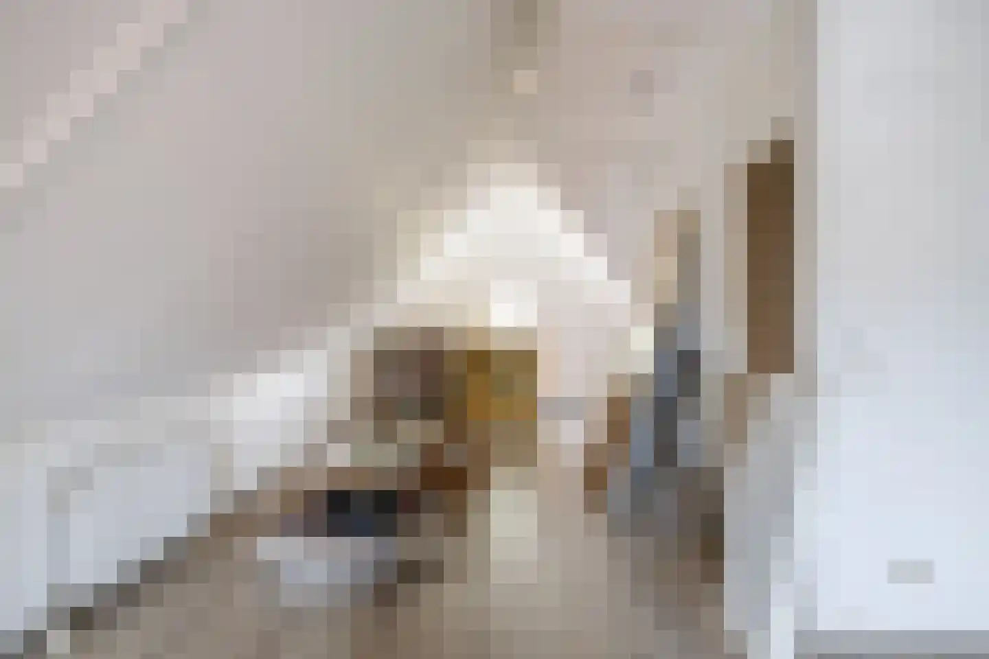 Insulindelaan 16 Wormerveer thumbnail 37