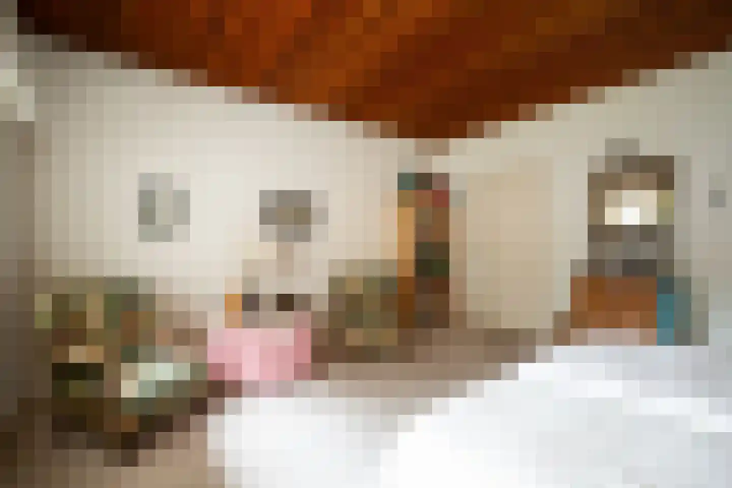 Insulindelaan 21 Hilversum thumbnail 30