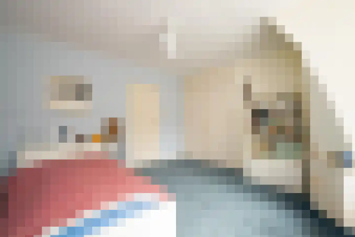 Insulindelaan 21 Hilversum thumbnail 42
