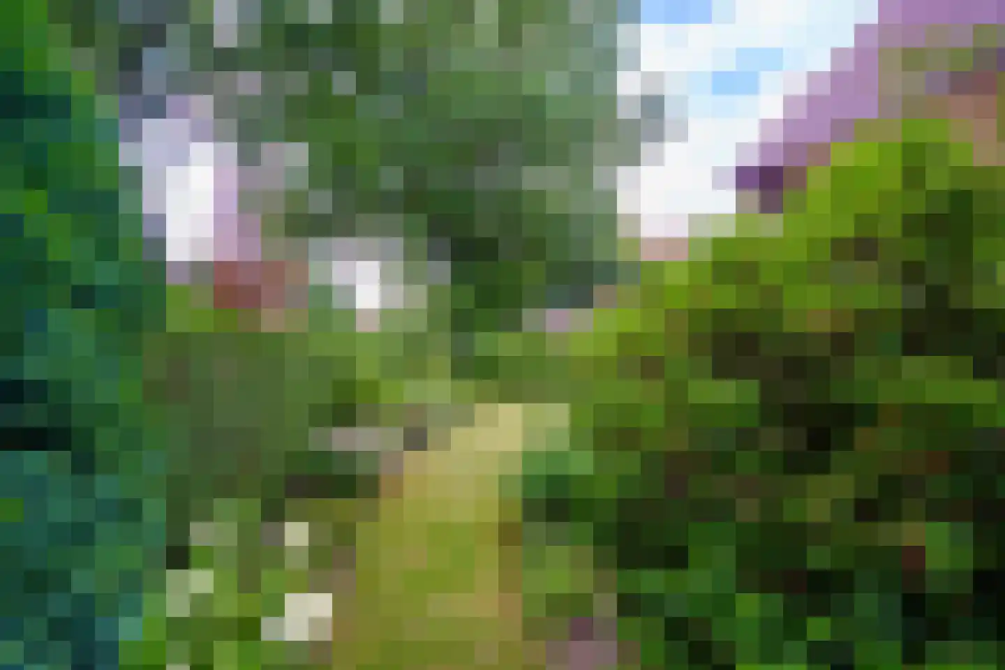 Insulindelaan 21 Hilversum thumbnail 56