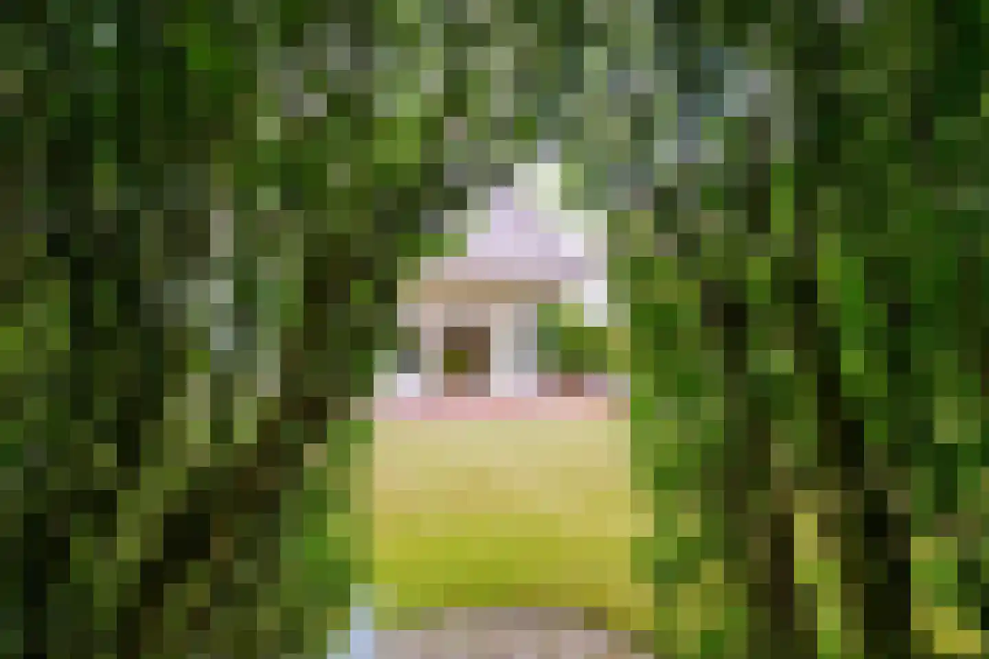 Insulindelaan 21 Hilversum thumbnail 57