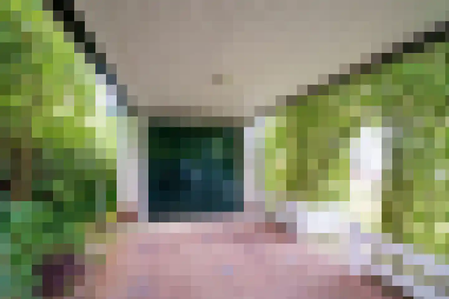 Insulindelaan 21 Hilversum thumbnail 60