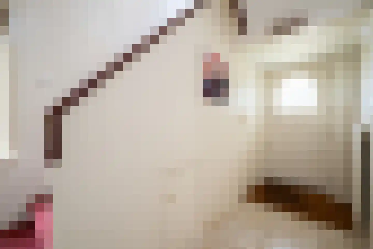 Insulindelaan 21 Hilversum thumbnail 7