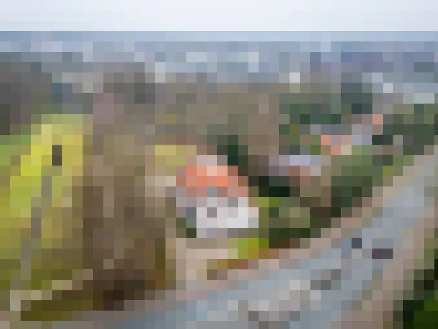 Insulindelaan 30 Hilversum thumbnail 28
