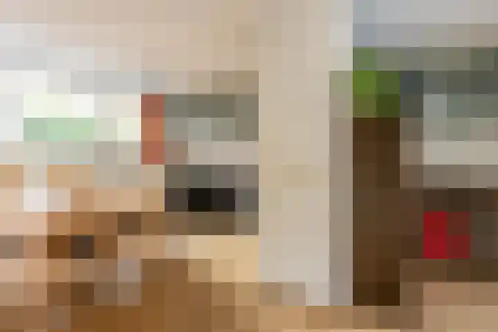 Insulindeplein 25 Rotterdam thumbnail 17