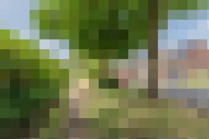 Insulindeplein 31 Tilburg thumbnail 16