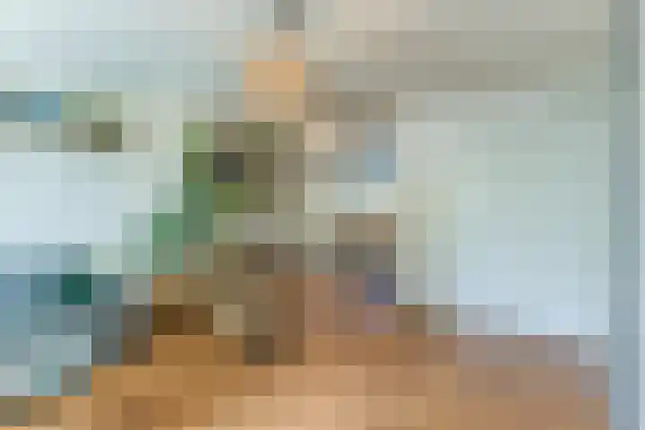 Insulindeplein 31 Tilburg thumbnail 4