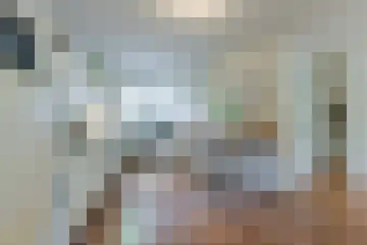 Insulindeplein 31 Tilburg thumbnail 5