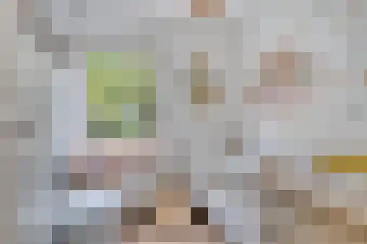 Insulindeplein 5 Tilburg thumbnail 17