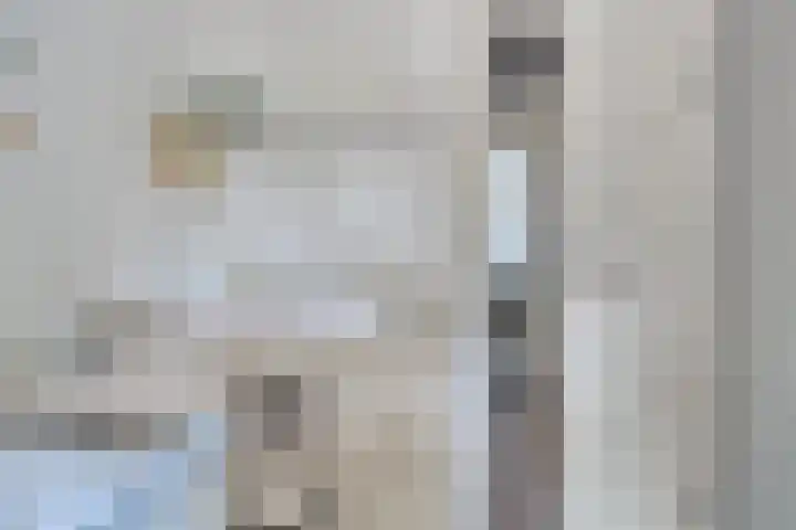 Insulindeplein 5 Tilburg thumbnail 18