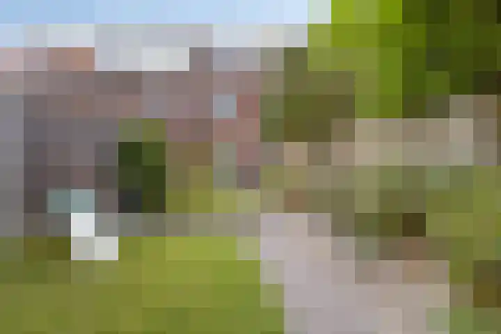 Insulindeplein 5 Tilburg thumbnail 25