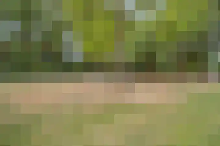 Insulindeplein 5 Tilburg thumbnail 27