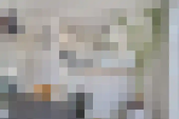 Insulindeplein 5 Tilburg thumbnail 9