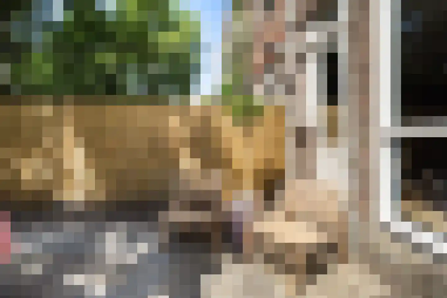 Insulindestraat 111 B Rotterdam thumbnail 20
