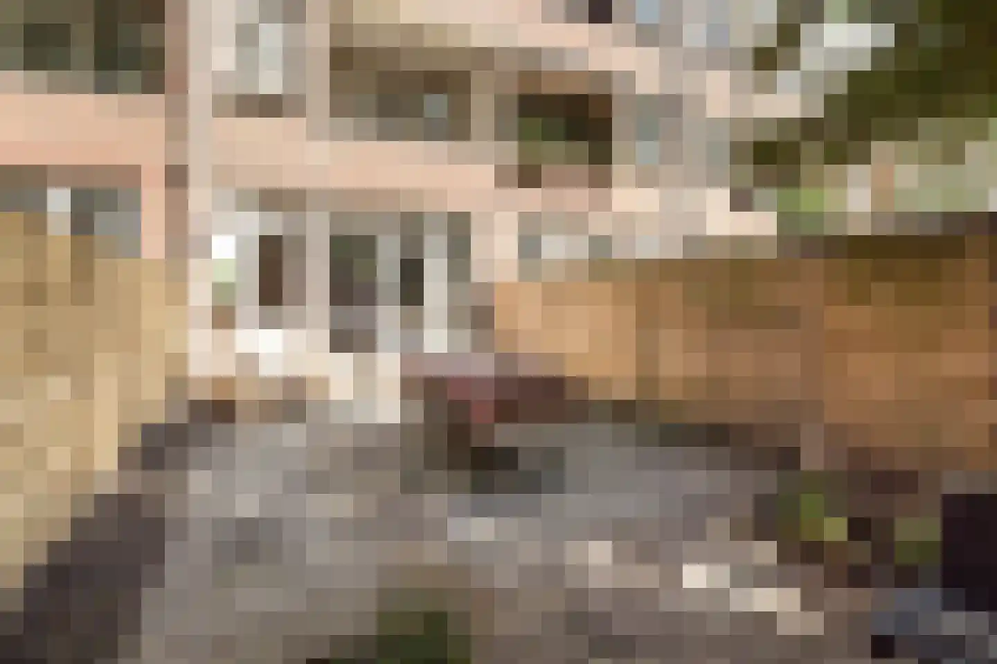 Insulindestraat 111 B Rotterdam thumbnail 21