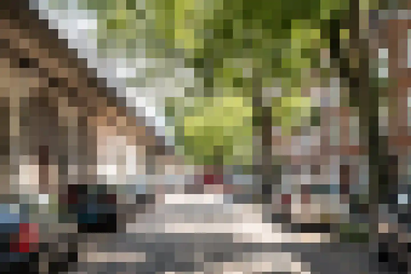 Insulindestraat 111 B Rotterdam thumbnail 34