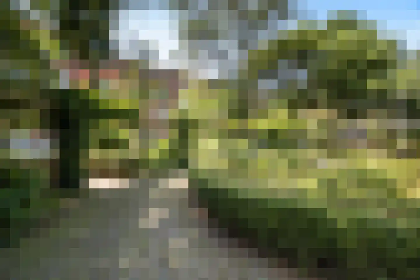 Insulindestraat 135 B Rotterdam thumbnail 24