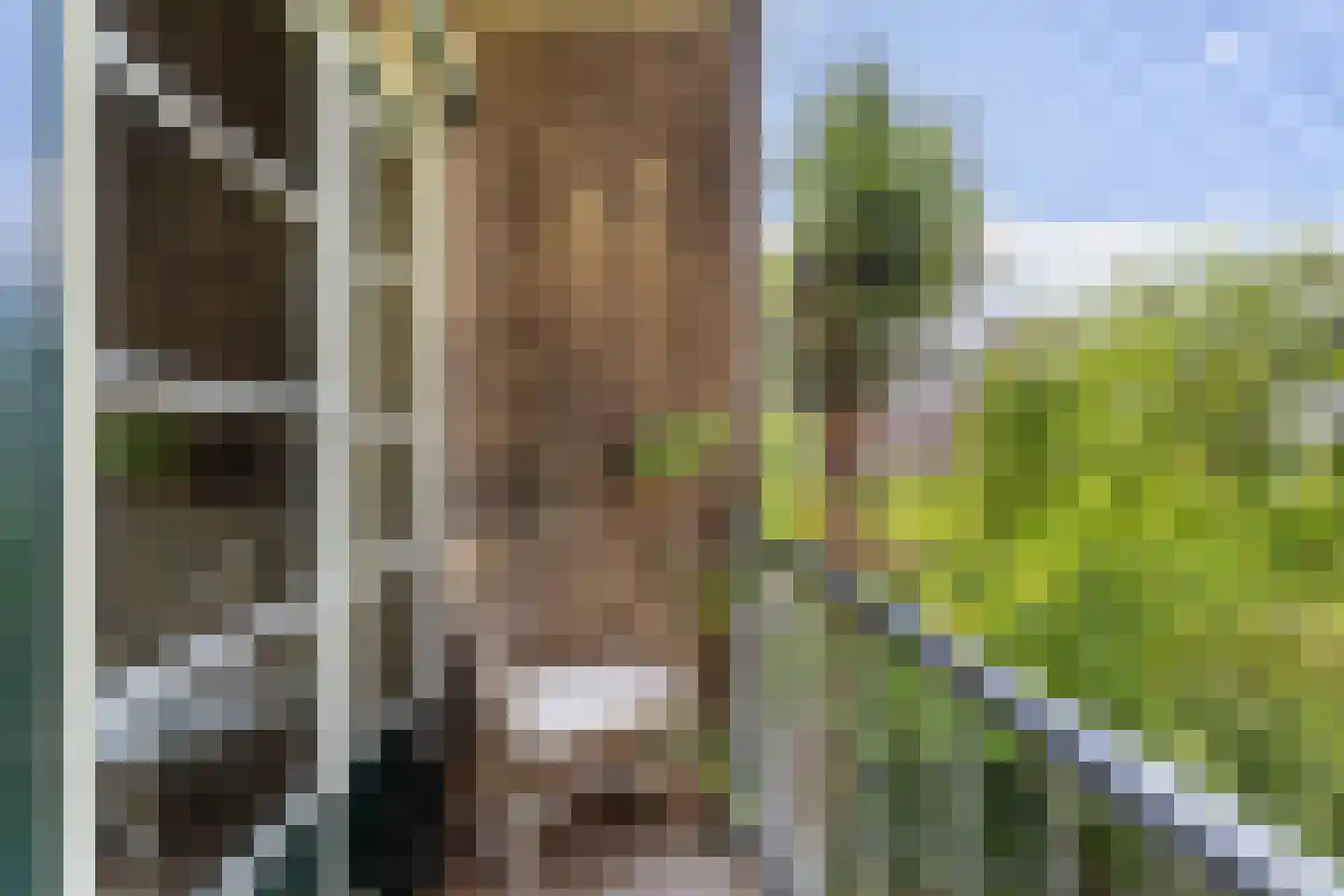 Insulindestraat 157 B Rotterdam thumbnail 22