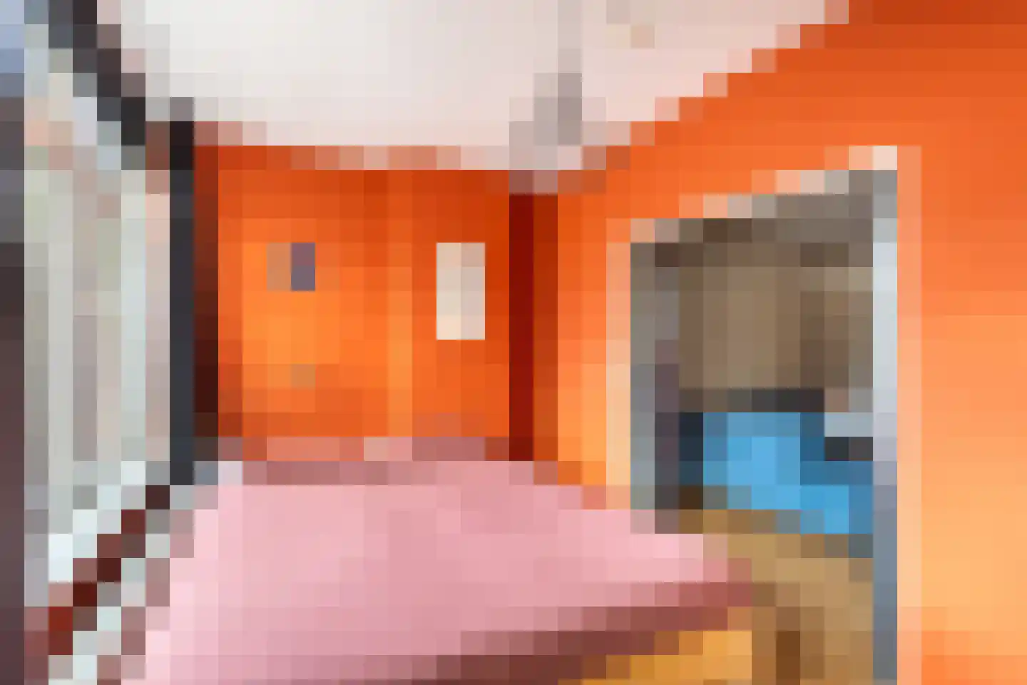 Insulindestraat 157 B Rotterdam thumbnail 28