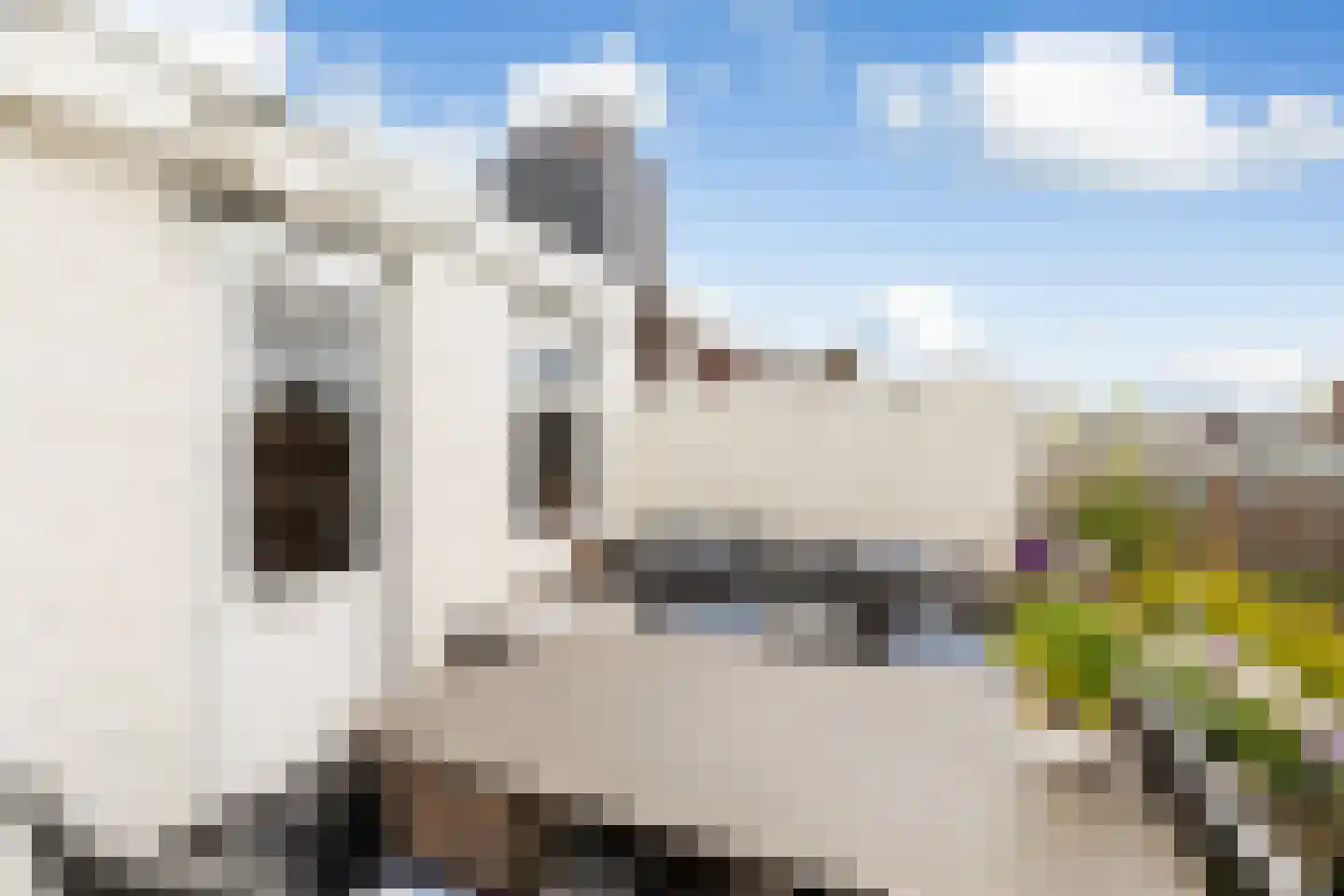 Insulindestraat 157 B Rotterdam thumbnail 36