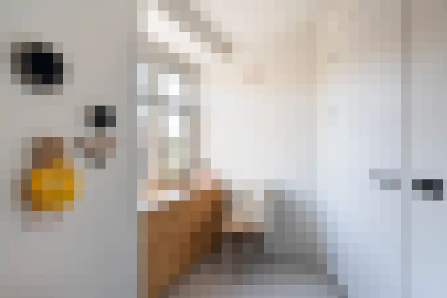 Insulindestraat 210 D Rotterdam thumbnail 28