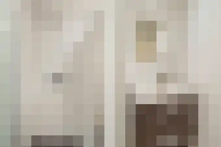 Insulindestraat 219 B 02 Rotterdam thumbnail 13
